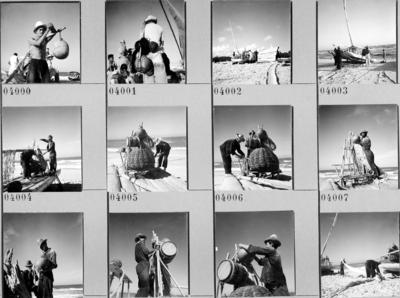 Jangadas e jangadeiros