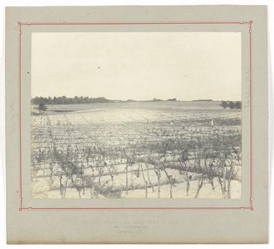 Local de estudo para construção do porto de Fortaleza