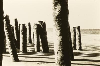 Praia no litoral baiano