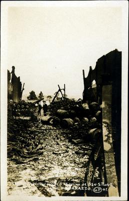 Efeito da Revolução de 1924