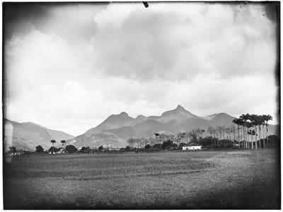 Vista do Pico da Tijuca