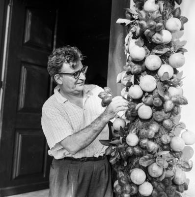 Roberto Burle Marx nos preparativos da festa junina do Sítio Burle Marx