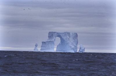 Aventuras de Igor na Antártida