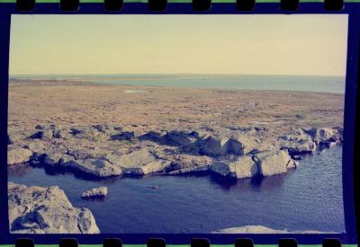 Viagem com a bióloga Livia Monami para registrar a caça da baleia branca