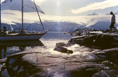 Aventuras de Igor na Antártida