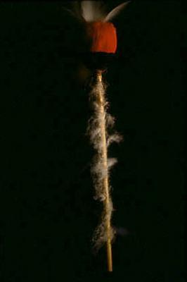 Série Xingu - Arte indígena