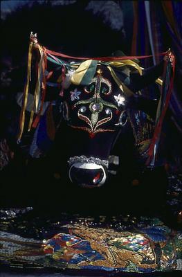 Série Bumba-meu-boi - Festa de São João