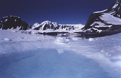 Aventuras de Igor na Antártida