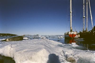 Aventuras de Igor na Antártida
