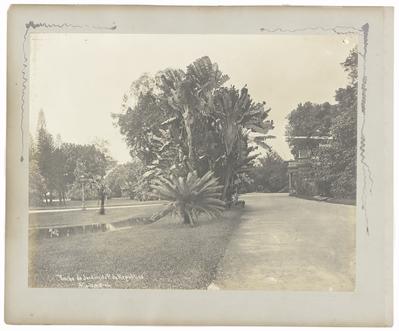 Trecho do Jardim da Praça da República