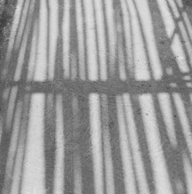 Sítio Burle Marx - sombra