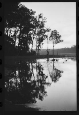Em busca de fazendas para locacações do filme Os Herdeiros, de Cacá Diegues