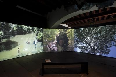 Nós somos pássaros que andam