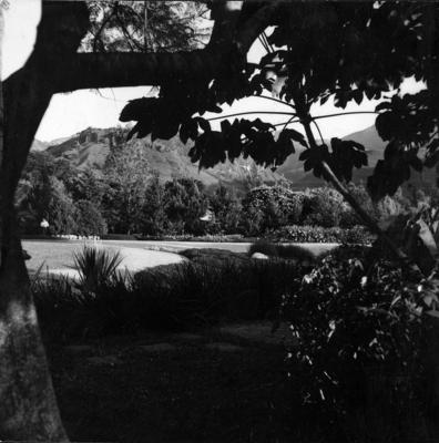 Residência de Carlos Somlo, projeto paisagístico de Burle Marx