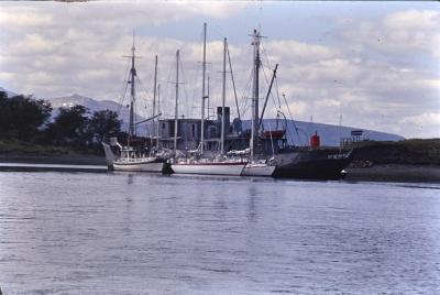 Aventuras de Igor na Antártida