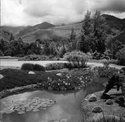 Residência de Carlos Somlo, projeto paisagístico de Burle Marx