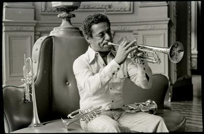 Formiga com o trompete