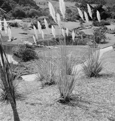 Residência de Odette Monteiro, projeto do arquiteto Wladimir Alves de Souza e Burle Marx