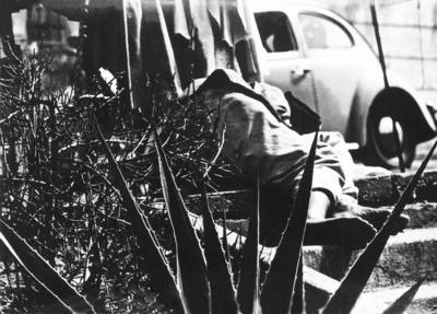 Paranoia: “porres acabando lentamente"