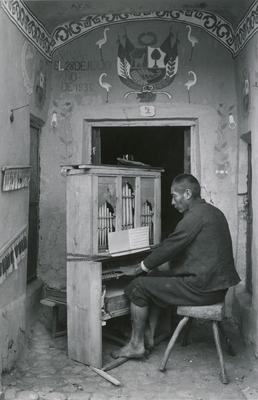 Organista na Capela de Tinta