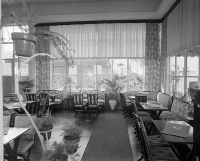 Jardim de Inverno Mara