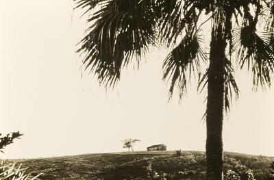 Proximidades do Engenho Itapuá