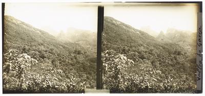 Alto da Boa Vista, visto da Antiga Estrada do Caminho do Jardim; atual Estrada da Vista Chinesa