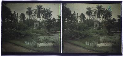 Jardim Botânico do Rio de Janeiro