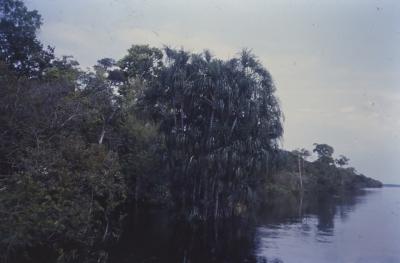 Expedição Pico da Neblina