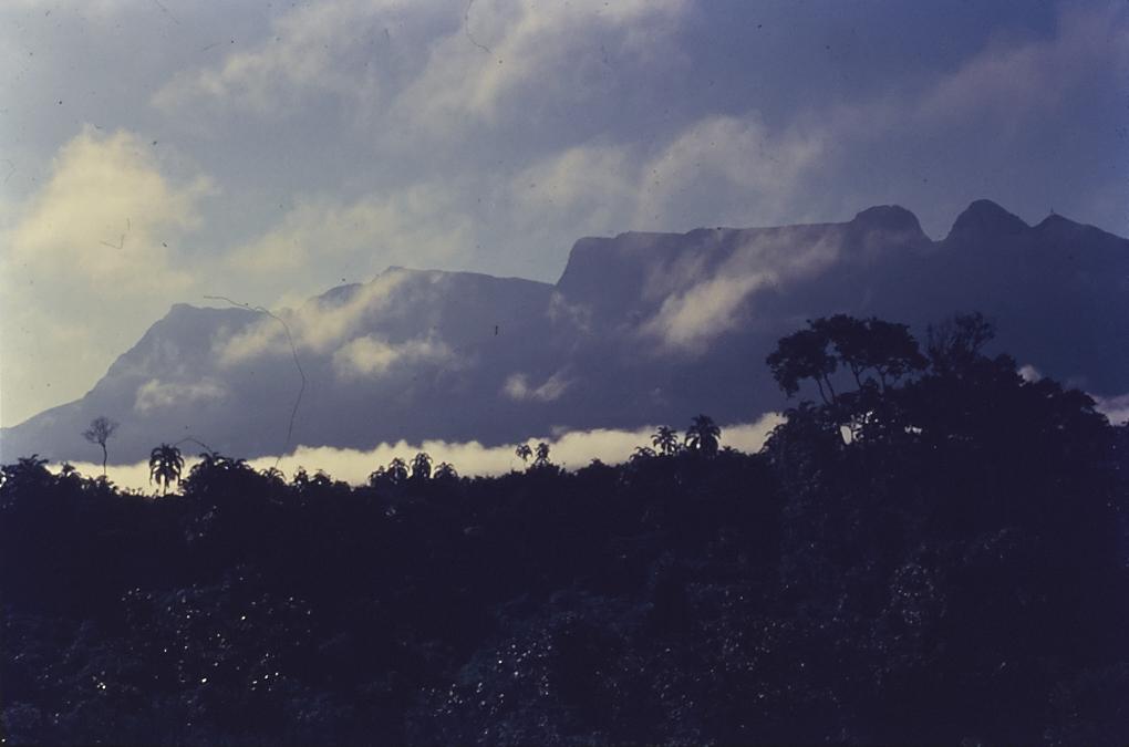 Pico da Neblina visto de Maturacá