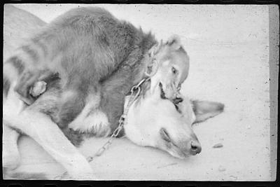 Filmagens de "Iracema: uma transa amazônica", com direção de Jorge Bodanzky e Orlando Senna