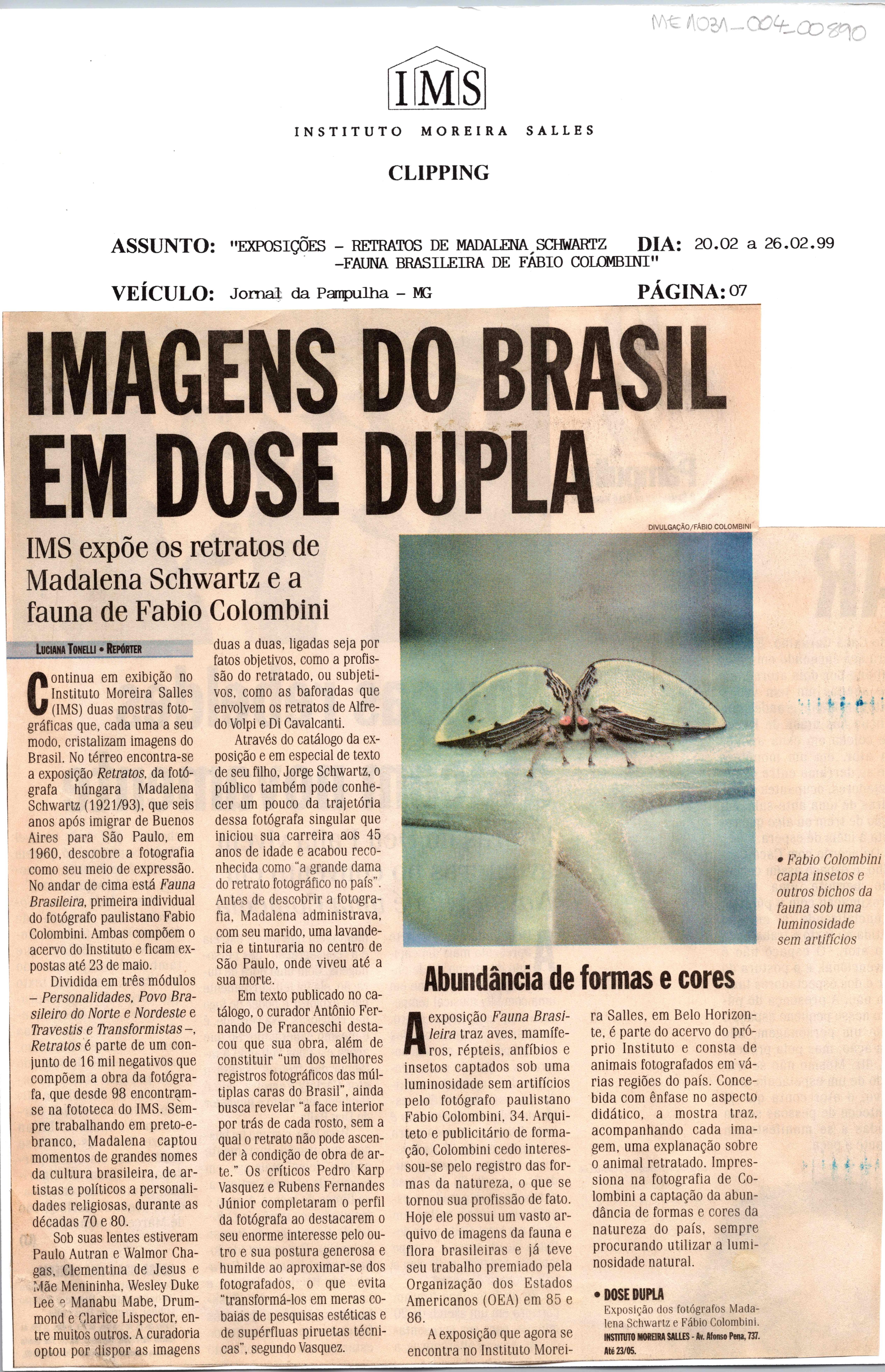 Imagens do Brasil em dose Dupla: IMS expõe os retratos de Madalena Schwartz ;fauna de Fabio Colombini