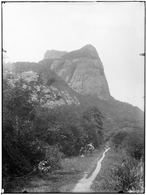 Vista da Pedra da Gávea