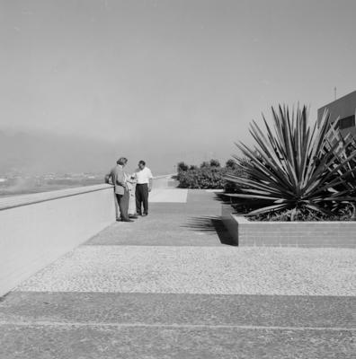 Cidade Universitária, projeto de Jorge Machado Moreira e Burle Marx