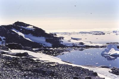 Aventuras de Igor na Antártida