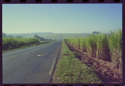 Produção de filme institucional sobre usinas de açúcar