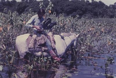 Jorge Bodanzky filmando no pantanal