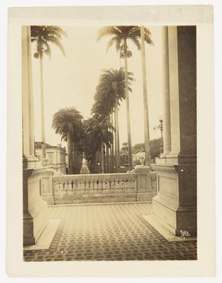 Vista da aleia das palmeiras a partir do Palácio Guanabara