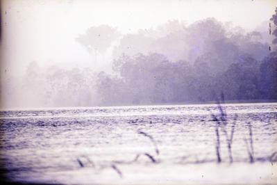 Série Xingu - Aspectos da natureza