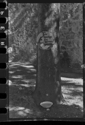 Viagem pra Salzburgo