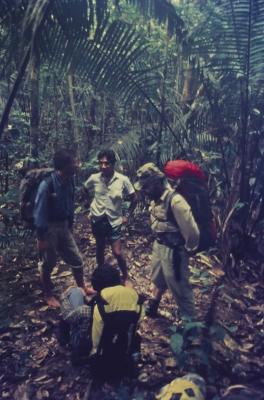 Expedição Pico da Neblina