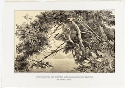 (Vista para a Baía de S. Sebastião [do Rio de Janeiro], a partir da Ilha do Viana)