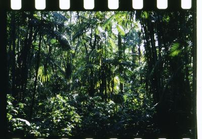 Projeto "Navegar Amazônia"