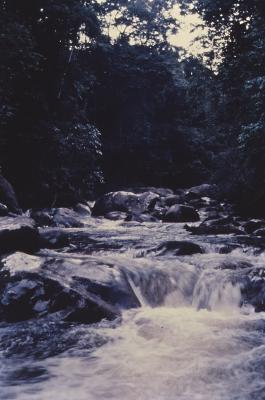 Expedição Pico da Neblina