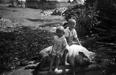 Ciro e Pedro, filhos de Haruo