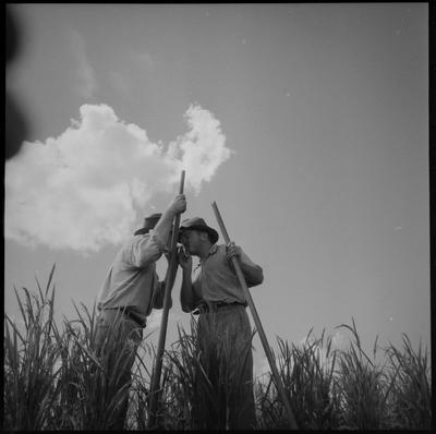 Pausa para o cigarro
