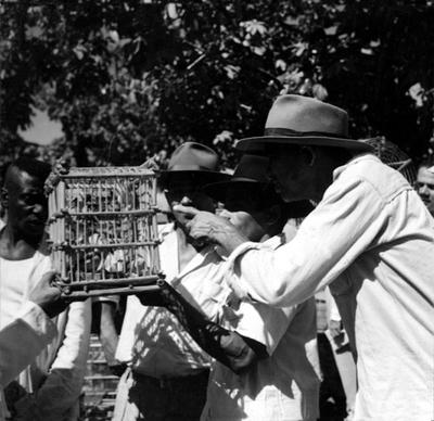 Feira dos Passarinhos