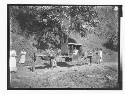 Liteira puxada por burros