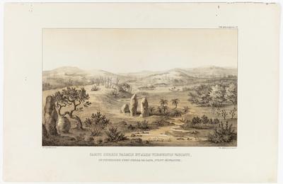 (Campos com cactos, palmeiras e outras plantas variadas no alto da Serra da Lapa, Província de Minas Gerais)