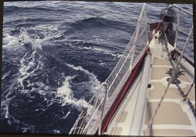 Aventuras de Igor na Antártida